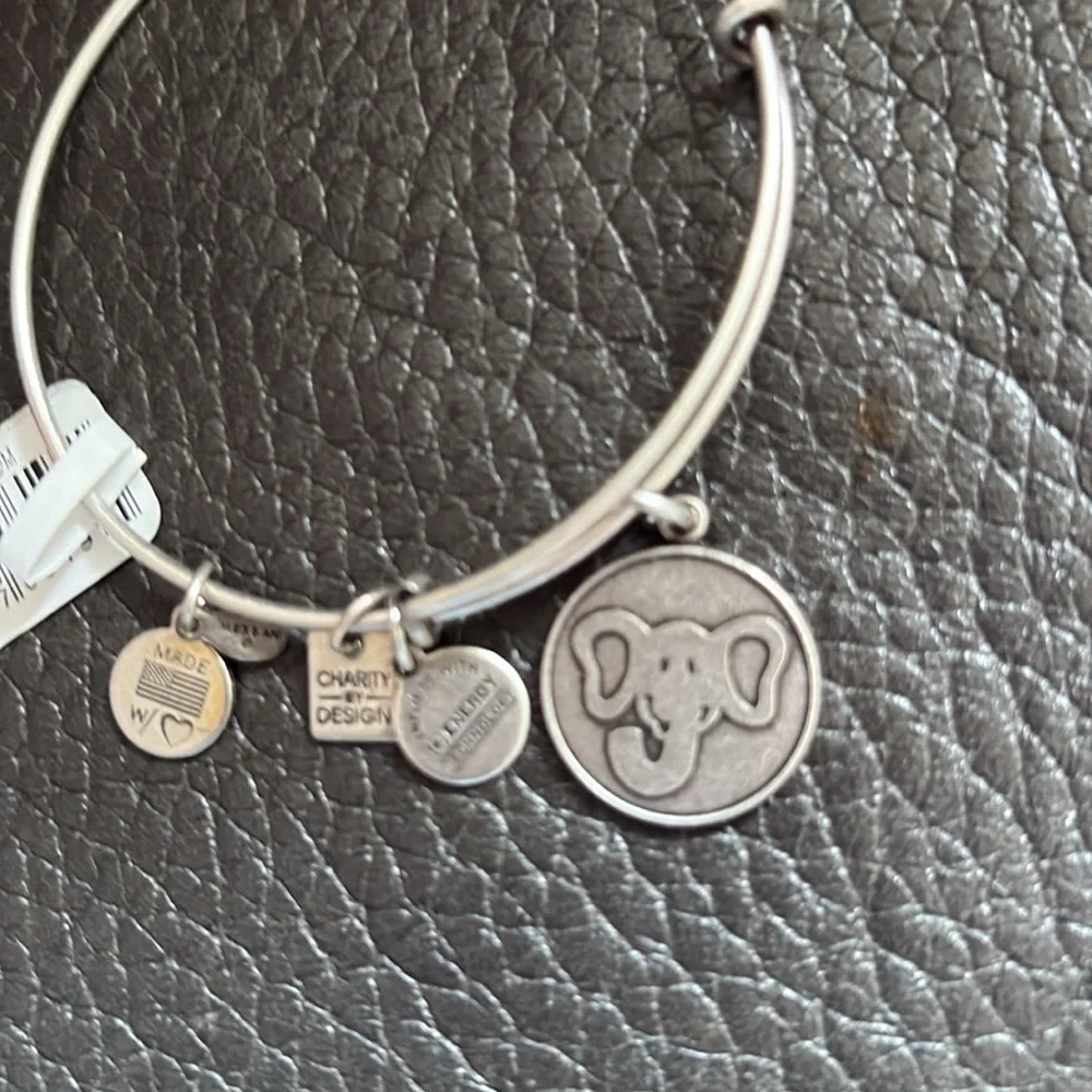 Alex and Ani Silver distressed look Elephant Charm Bracelet